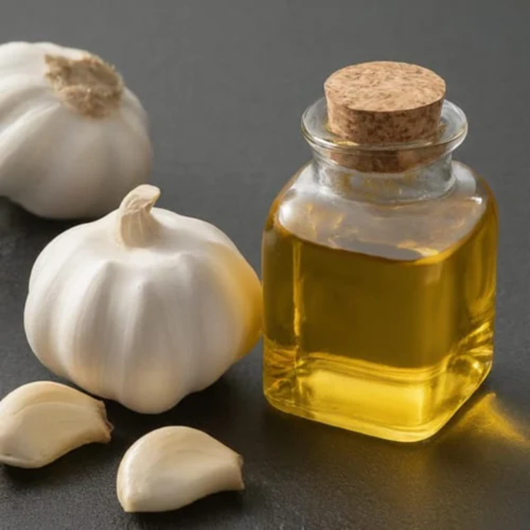 Garlic Oil (Allium sativum L)